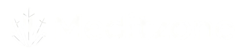 logo meditzone