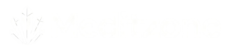 logo meditzone